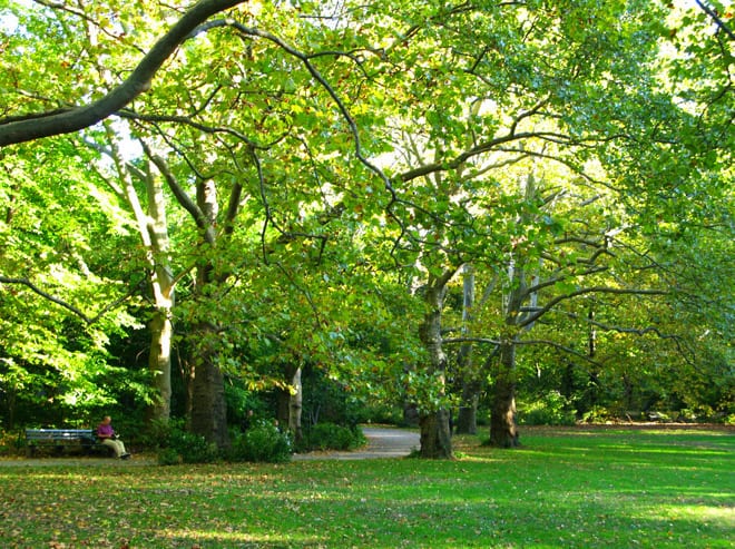 Ramble Central Park Ramble Central Park