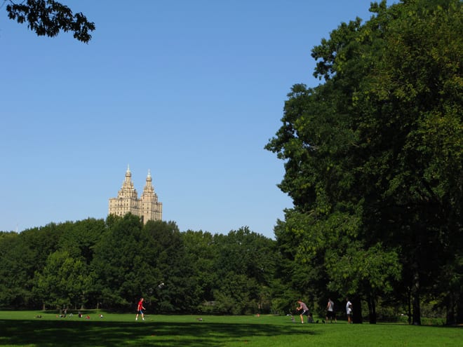 Sheep Meadow Central Park