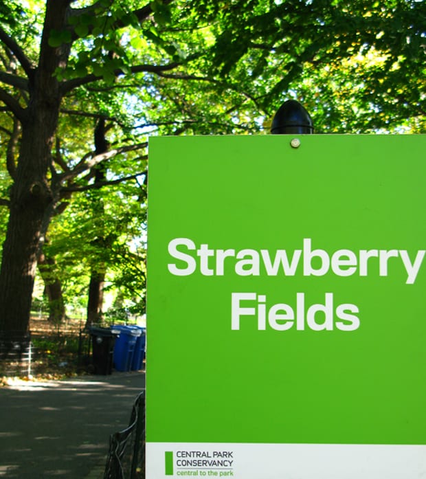 Strawberry Fields 