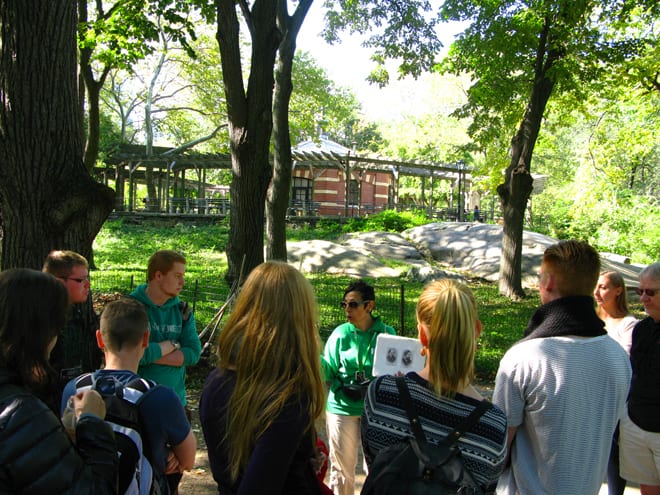 Tour de graça no Central Park