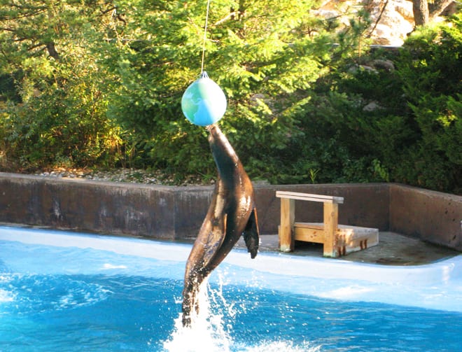 Show no New York Aquarium