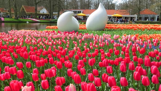 Relato de viagem: Keukenhof – Todas as dicas para visitar o parque de flores na Holanda