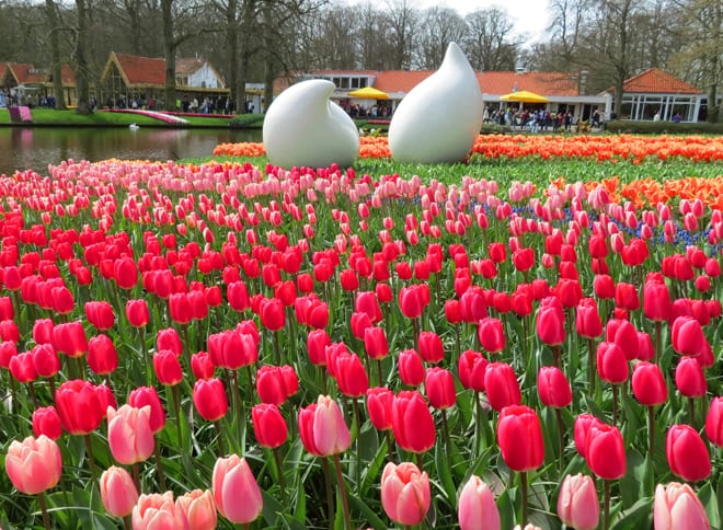 Primavera no Keukenhof