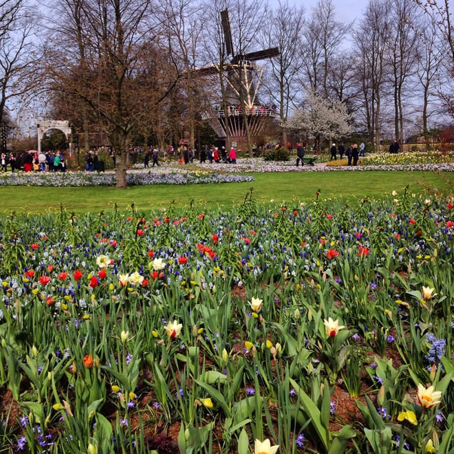 Primavera na Holanda