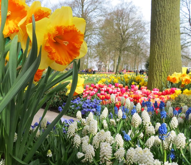 Jardins do Keukenhof