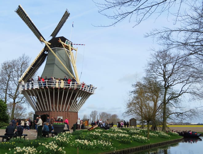 Moinho de vento Keukenhof