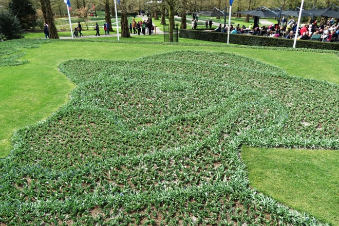 Van Gogh Keukenhof