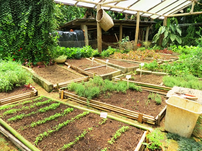 Horta do restaurante Rosmarinus Officinalis