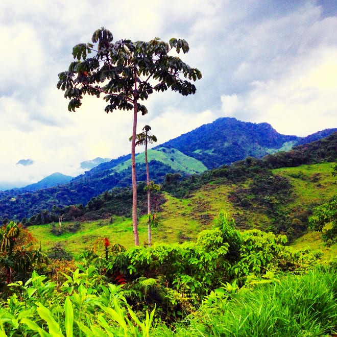 Serra da Mantiqueira