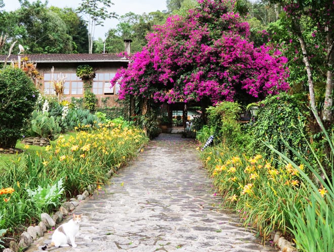 Verde que te quero ver-te entrada
