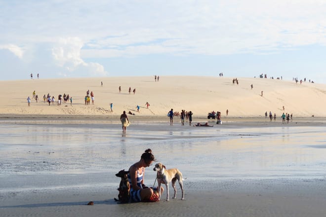 Cachorros na praia de Jericoacara