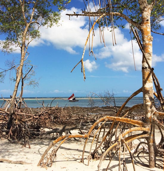 Mangue Seco em Jericoacoara, no passeio Lado Oeste. Foto: GC/Blog Vambora!