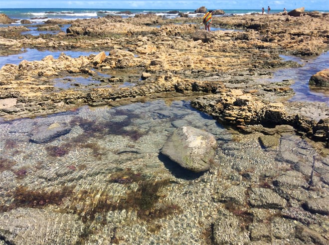 Piscinas naturais, na praia da Malhada em Jericoacoara. Foto: GC/Blog Vambora!