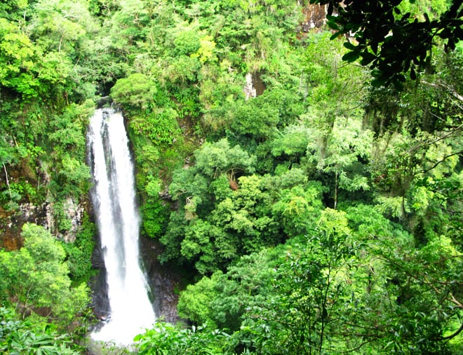 História e natureza da região sul no roteiro de agroturismo em Gramado