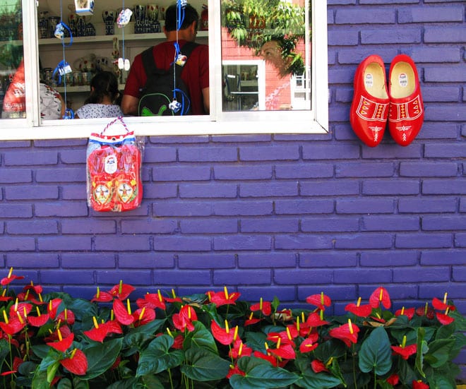 Cantinhos fofos (e holandeses) pelo Expoflora em Holambra. Foto: GC/Blog Vambora!