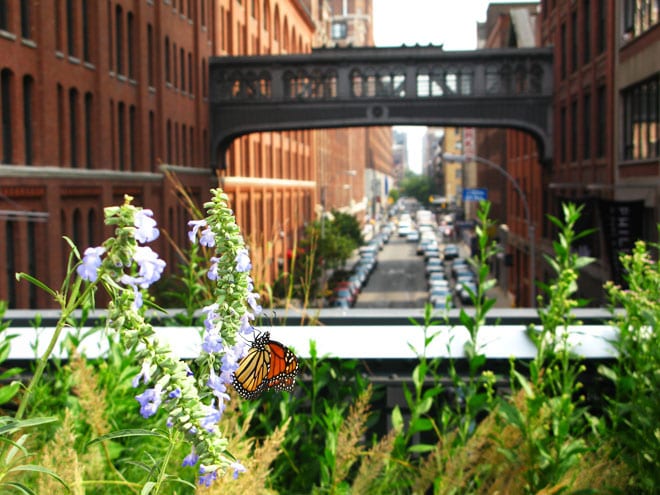 High Line Park NY