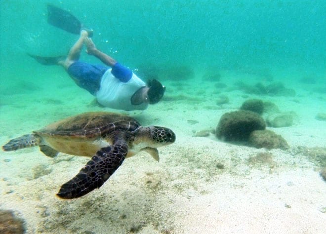 Mergulho Angra dos Reis