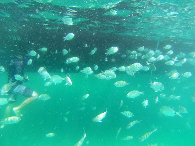 Mergulho na Lagoa Azul em Ilha Grande.