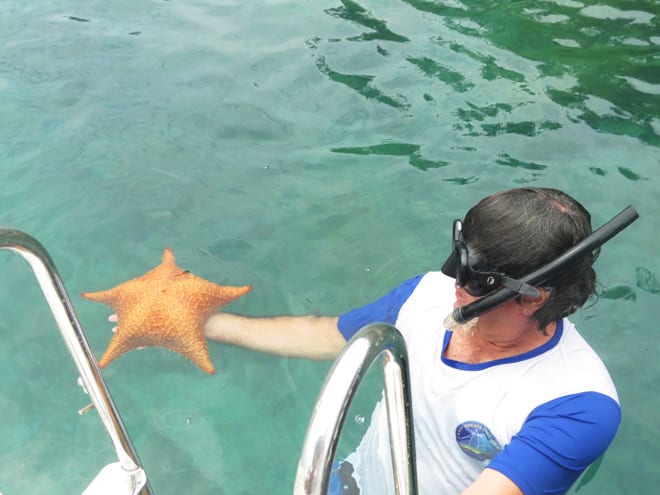 Estrela do Mar Angra dos Reis