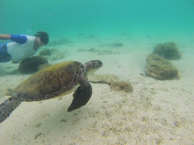 Mergulho Snorkel Angra dos Reis