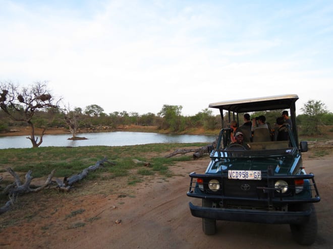 Safari Balule Reserve