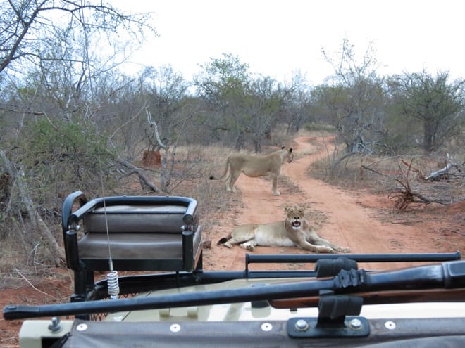 Safari Pondoro Game Lodge