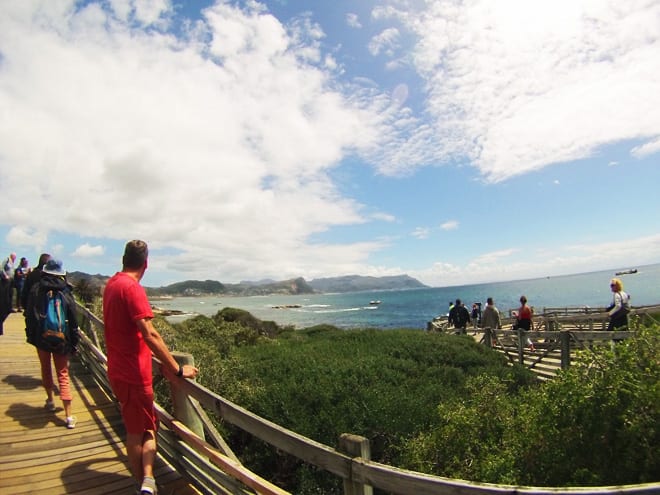 Passarelas Boulders Beach