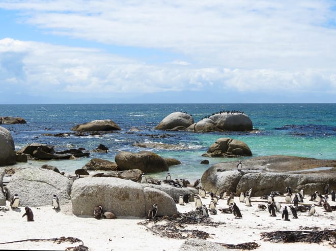 Boulders Beach