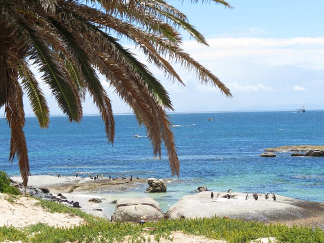 Vista para praia de Boulders Beach