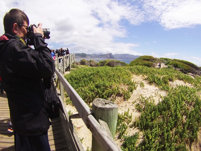 Passarela Boulders Beach