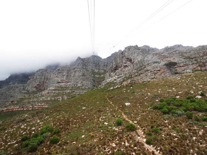 Cableaway Table Mountain
