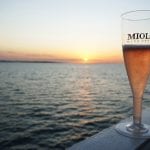 Lugares improváveis: Conhecendo a Vinícola Miolo no Vale do Rio São Francisco Vapor do Vinho Miolo