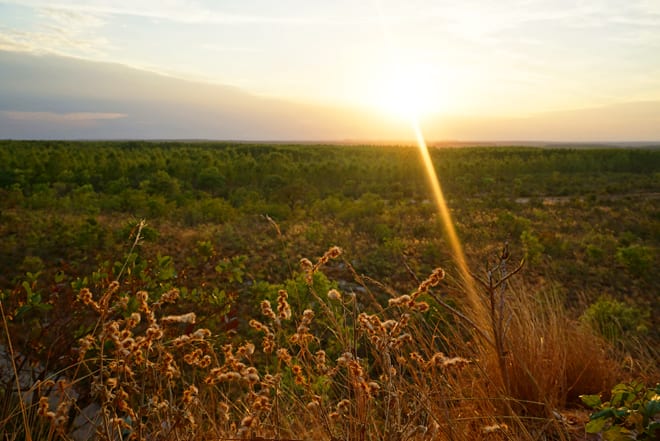 Por do sol no cerrado do Jalapão