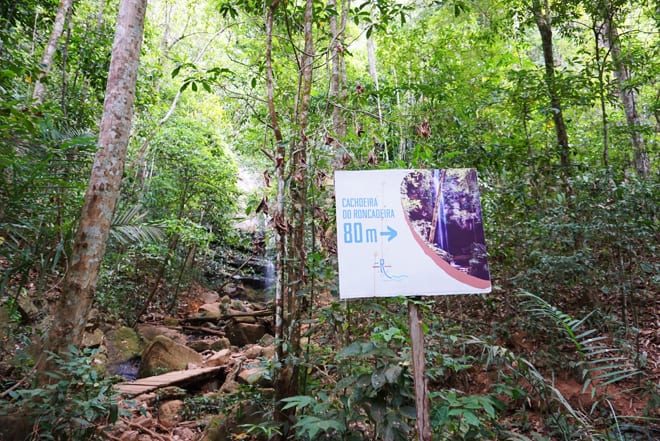 Trilha para cachoeira da Roncadeira, no Jalapão