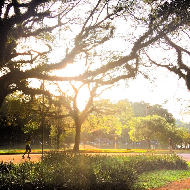 Parque do Ibirapuera