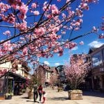 Relato de viagem: O que fazer em Campos do Jordão – Roteiro de viagem completo! Campos do Jordão