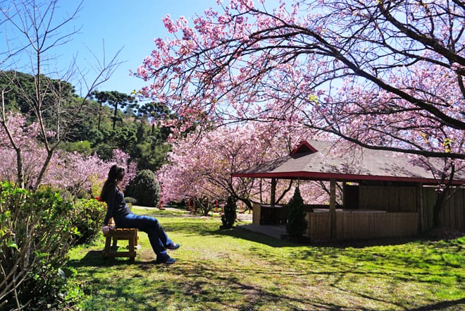 Parque das Cerejeiras em Campos do Jordão