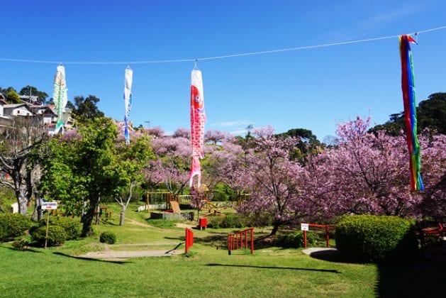 Parque das Cerejeiras em Campos do Jordão Veja como visitar!