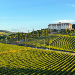 Descanso merecido: Onde ficar em Bento Gonçalves – 16 Melhores Hotéis e Pousadas Hotel & Spa do Vinho em Bento Gonçalves