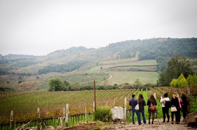 Vinhedos da Casa Valduga