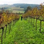 Relato de viagem: Roteiro de viagem pelo Vale dos Vinhedos na Serra Gaúcha Vale dos Vinhedos