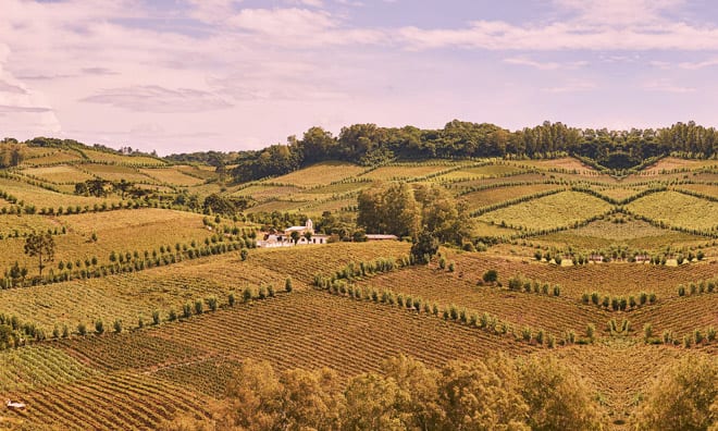 Vinícola Chandon no Rio Grande do Sul