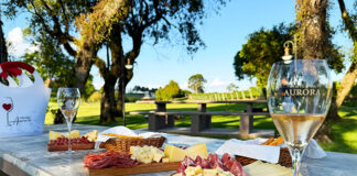 Viajante Gourmet: 8 Vinícolas no Rio Grande do Sul que você precisa conhecer Vinícola Aurora em Pinto Bandeira