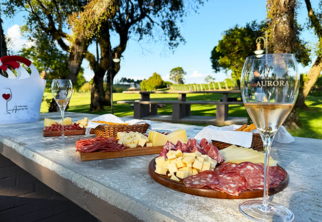 Vinícola Aurora em Pinto Bandeira