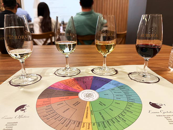 Degustação na Vinícola Aurora