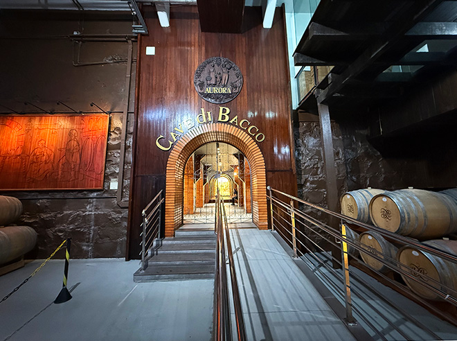 Tour pela Vinícola Aurora