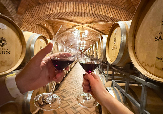 Cave da Vinícola Salton