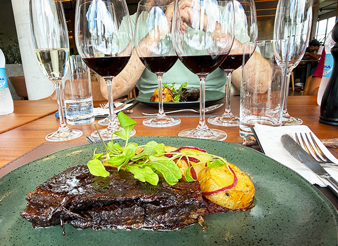 Almoço harmonizado na Bodega Iribarren
