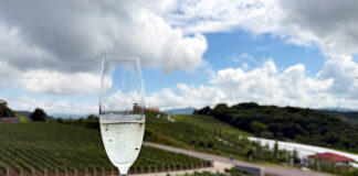 Viajante Gourmet: 11 Vinícolas na Serra Gaúcha para descobrir Vinícola Iribarren na Serra Gaúcha
