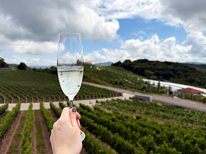 Vinícola Iribarren na Serra Gaúcha